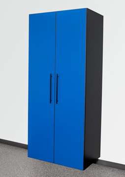 Cobalt Blue/ Black Combo Cobalt Blue/ Black Combo