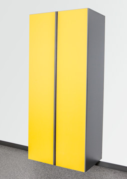 Sonic Yellow/ Slate Combo Sonic Yellow/ Slate Combo